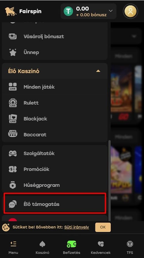 lépjen kapcsolatba a kaszinóval